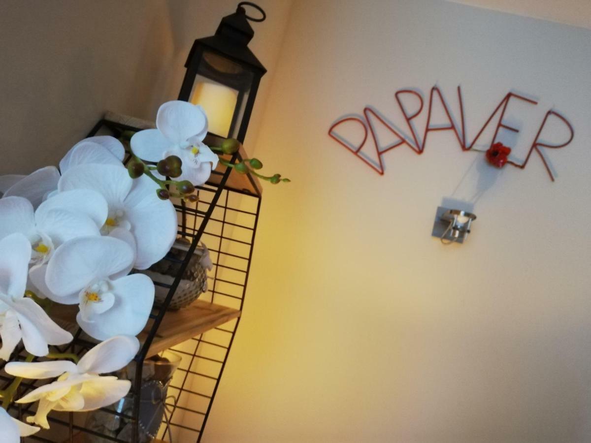 Papaver Apartament Ζιελόνα Γκόρα Εξωτερικό φωτογραφία