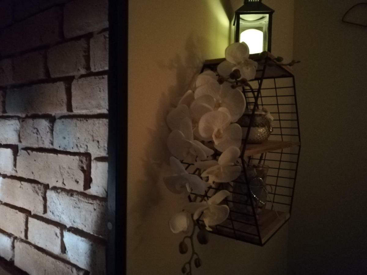 Papaver Apartament Ζιελόνα Γκόρα Εξωτερικό φωτογραφία